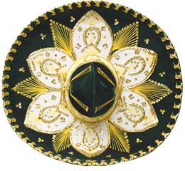 �p�C�i�b�v���̗x��