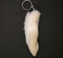 ���r�b�c��t�b�g