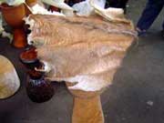 �ʐ^�@�W�����x�@April 2005 �B�e